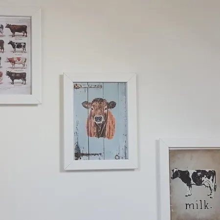 De Oude Koeienstal Apartamento Schimmert