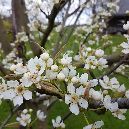 De Oude Koeienstal Lejlighed