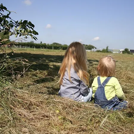 De Oude Koeienstal * Schimmert