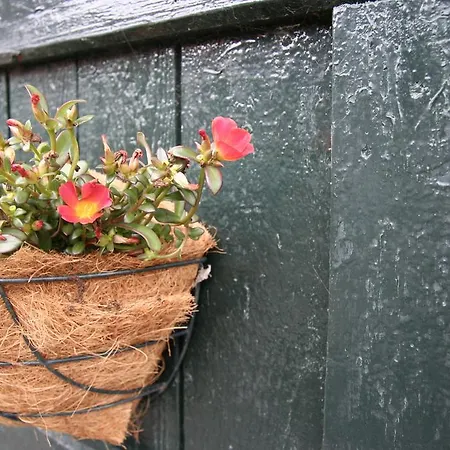 De Oude Koeienstal *