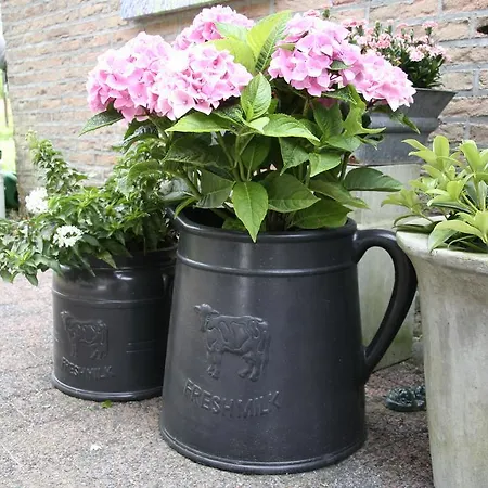 Apartmán De Oude Koeienstal