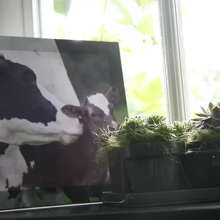 Lejlighed De Oude Koeienstal *