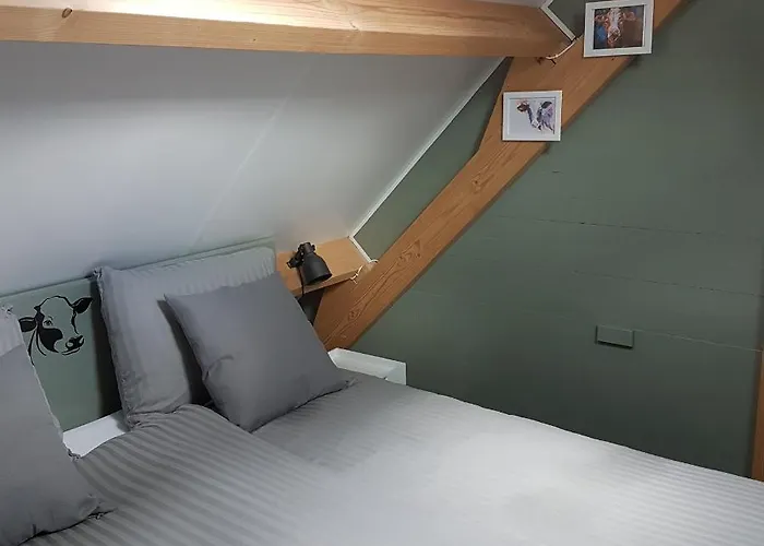 De Oude Koeienstal Schimmert