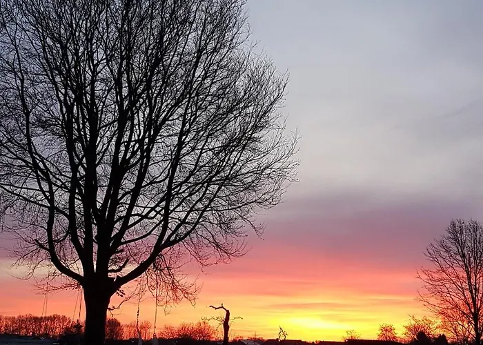 Apartment De Oude Koeienstal *