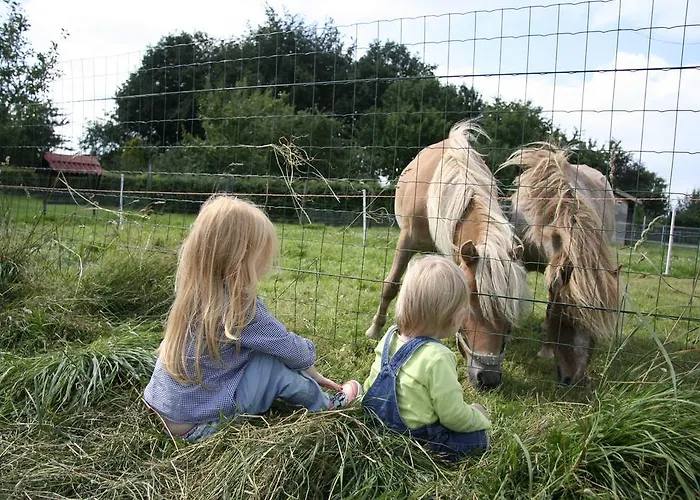 De Oude Koeienstal * Schimmert