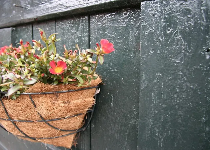 De Oude Koeienstal *