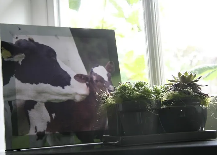 Апартаменты De Oude Koeienstal *