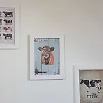 De Oude Koeienstal Lägenhet Schimmert