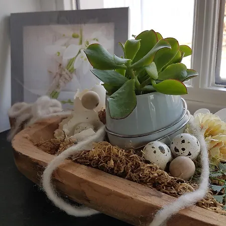 Appartement De Oude Koeienstal Schimmert