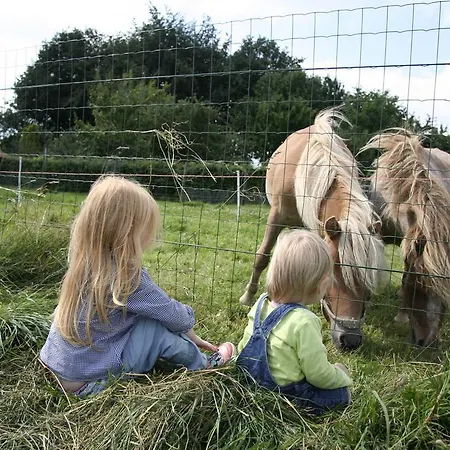 De Oude Koeienstal * Schimmert