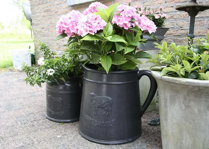 Appartement De Oude Koeienstal