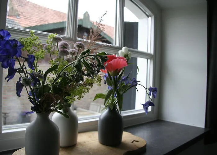 De Oude Koeienstal Appartement *